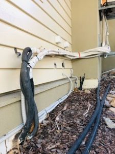 ProBuilder-Repairs-termite-and-water-damage