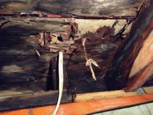 Probuilder-Repairs-Rotten-Bathroom-Floors